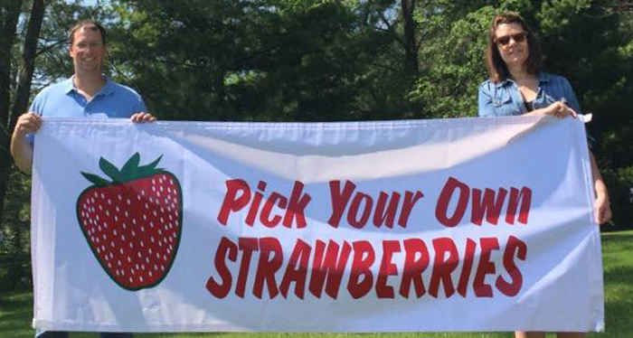 Pick your own strawberries!